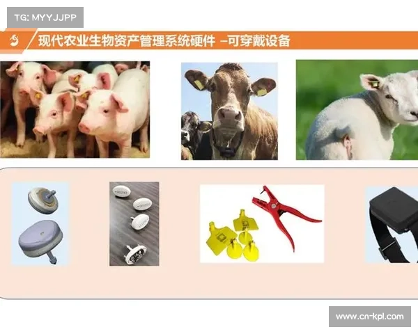 赛事数据分析技术在提升团队战术决策科学化与精准化中的应用研究 赛事数据分析技术在提升团队战术决策科学化与精准化中的应用研究